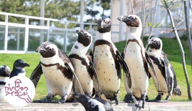 かいじゅうアイランド　マリンワールド海の中道