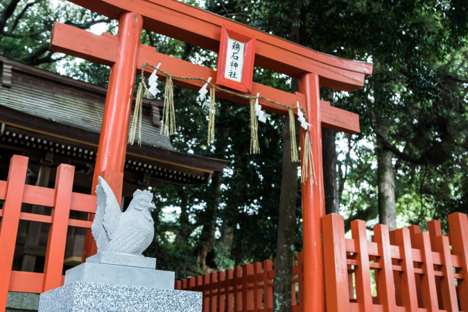 鶏石神社/香椎宮境内