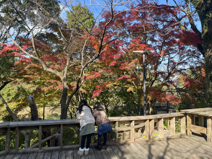 花カフェ　庭園