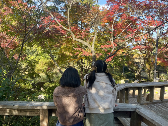 花カフェ　景色