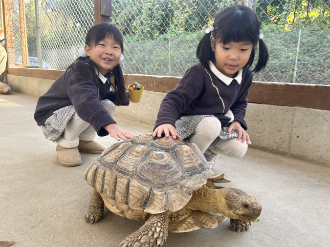 トリアスふれあい動物園 カメ