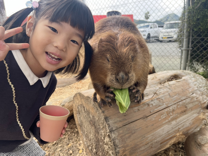 トリアスふれあい動物園 ビーバー