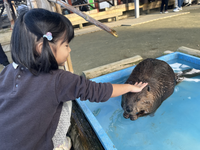 トリアスふれあい動物園 ビーバー