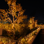 WINTER LIGHT FANTASY ILLUMINATION supported by 地球人.jp株式会社