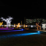 WINTER LIGHT FANTASY ILLUMINATION supported by 地球人.jp株式会社