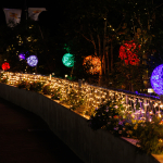 WINTER LIGHT FANTASY ILLUMINATION supported by 地球人.jp株式会社