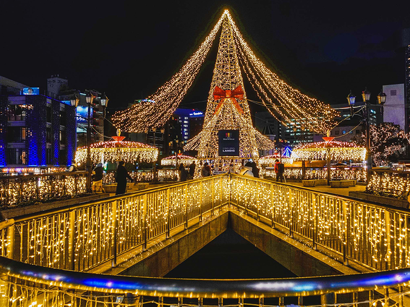 2024年～2025年　福岡県クリスマスイルミネーション