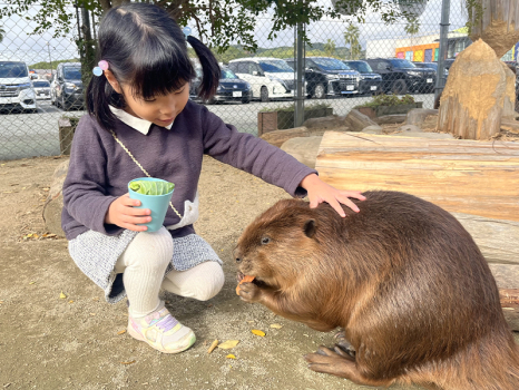 トリアスふれあい動物園／糟屋郡久山町