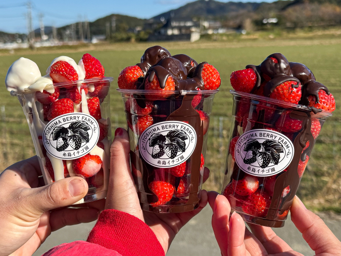 いちご農家のキッチンカー　チョコがけあまおう