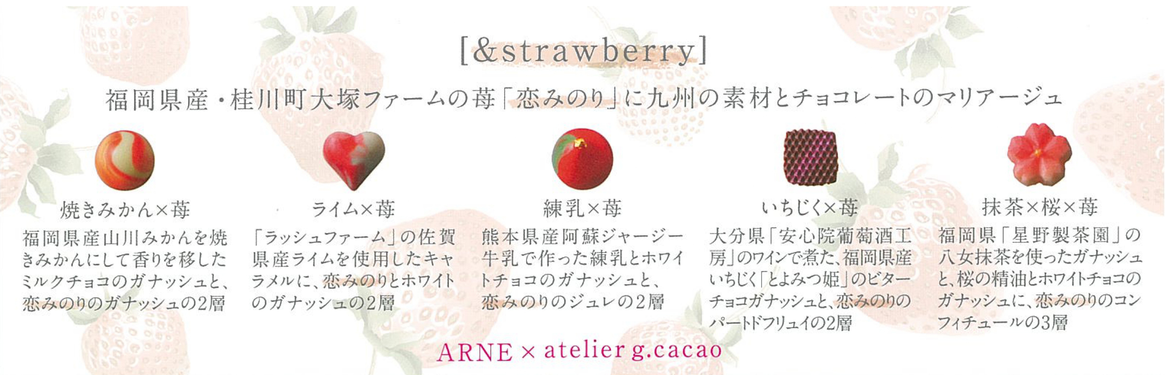 atelier g.cacao（アトリエグラム・カカオ）「＆strawberry（アンドストロベリー）」