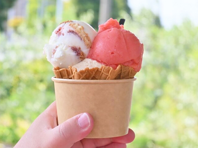 Gelateria ALBA　アイス　アルバ