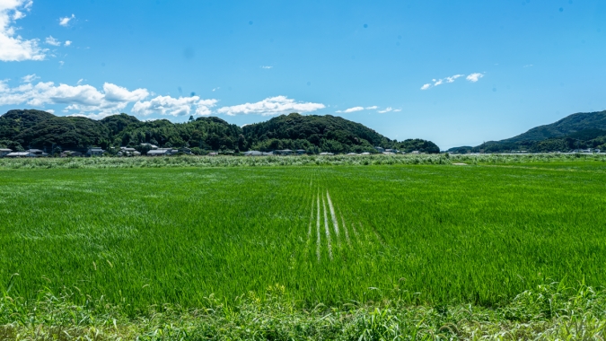 糸島食堂ほもり 景色