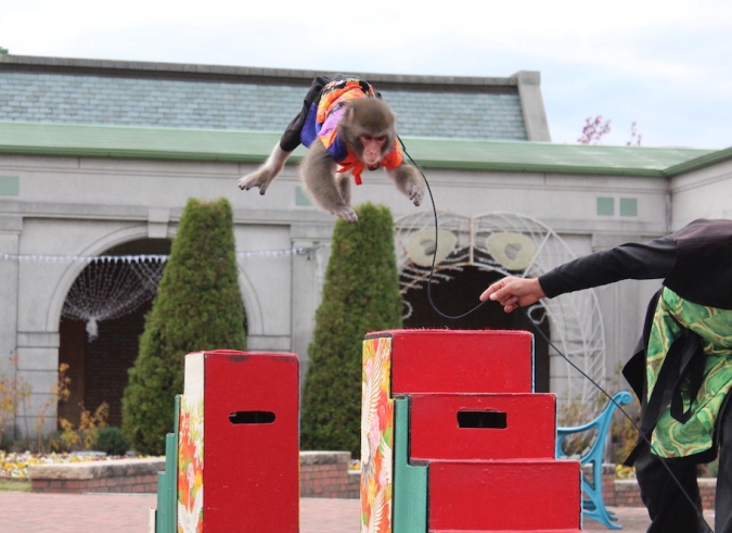 후쿠오카성 나이트 마켓 ～2025 SUMMER～ 원숭이 회전