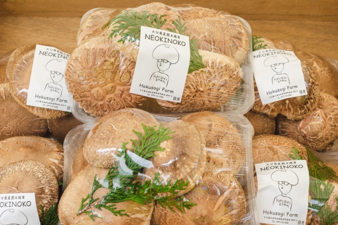 つばめマルシェ with FUKU MARCHE STORE　しいたけ