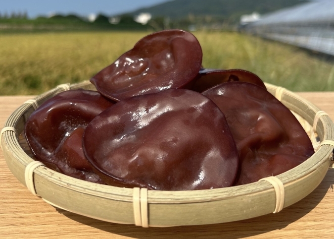 つばめマルシェ with FUKU MARCHE STORE きくらげ