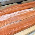 アクアマリン糸島 サーモン