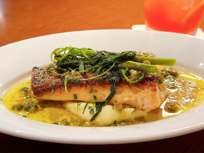 コットン　ウィズザスタイル　ディナー