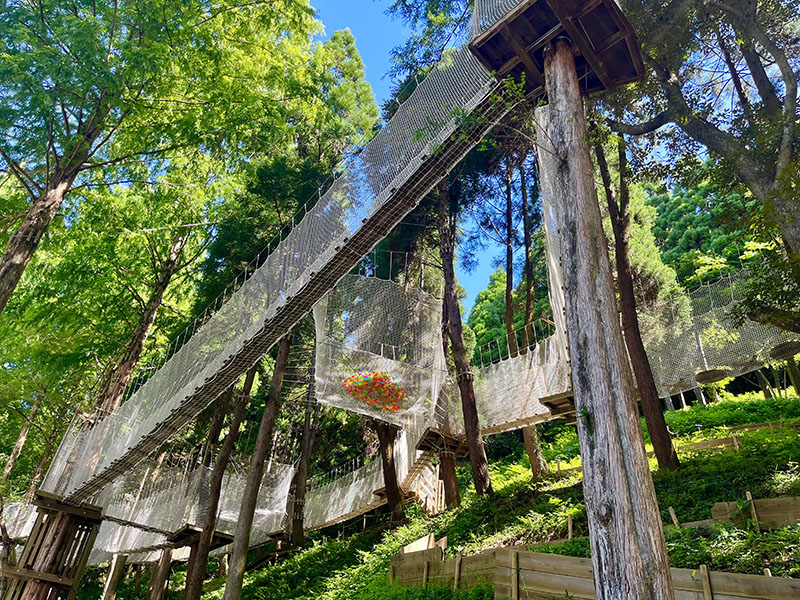 フォレストアドベンチャー・吉野ケ里/ネットコース