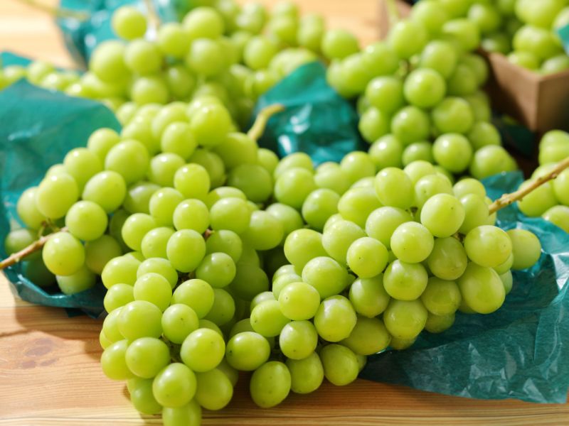 スイーツパラダイス シャインマスカット