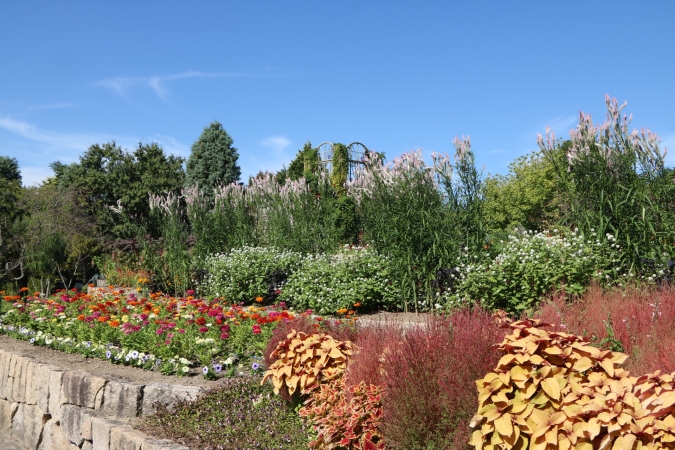 うみなか*はなまつり2025 フラワーミュージアム