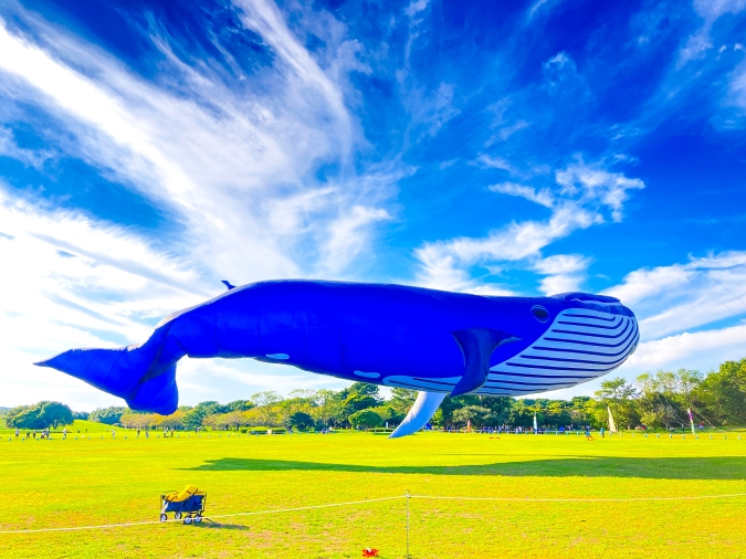 うみなか*はなまつり2025 凧揚げフェスティバル クジラのバルーンカイト