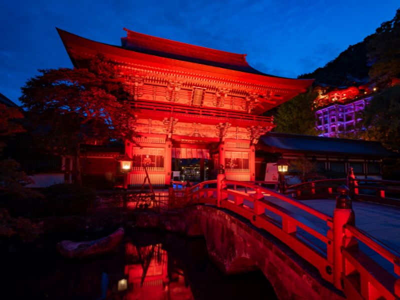 祐徳稲荷神社「ナイトウォーク 狐の嫁入り 2025」