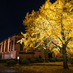 石橋文化センター　紅葉ライトアップ