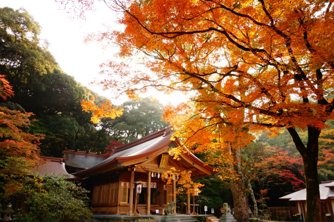 宝満宮竈門神社・紅葉