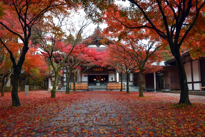 呑山観音寺　紅葉