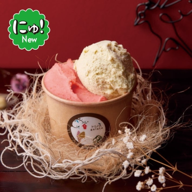 〈GELATERIA torinosu〉ジェラート／福岡三越「第43回北海道の物産と観光展」