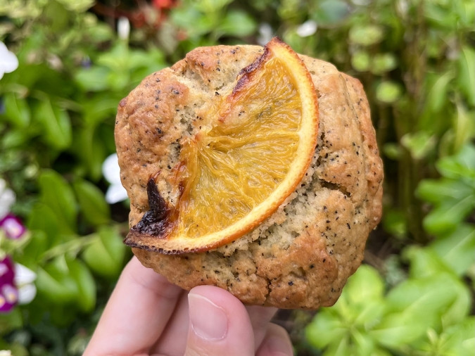 conne(コンネ)オレンジティー