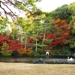石橋文化センター　紅葉