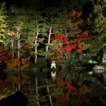 石橋文化センター　紅葉ライトアップ