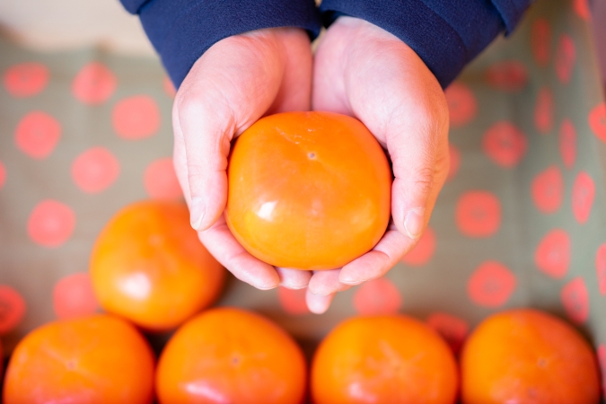 つばめマルシェ with FUKU MARCHE STORE　柿