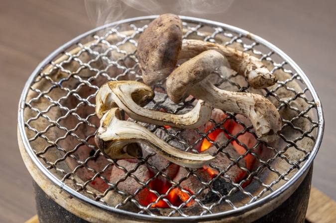 住吉日本料理Koga　松きのこ