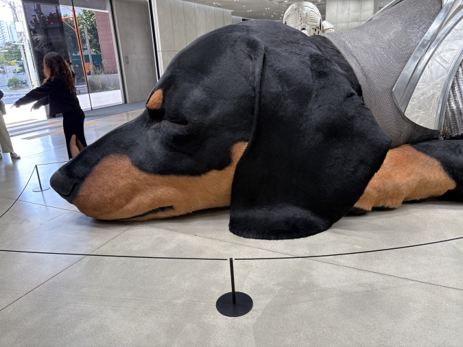 GENTLE MONSTER HAUS NOWHERE:店内