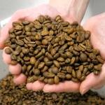 ムエンコーヒー　コーヒー豆