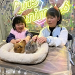 ワクワクふれあい！もふもふ＆はちゅうるい 生きものフェスタ／写真撮影