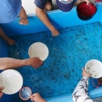 ワクワクふれあい！もふもふ＆はちゅうるい 生きものフェスタ／縁日コーナー