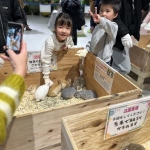 ワクワクふれあい！もふもふ＆はちゅうるい 生きものフェスタ／もふもふゾーン