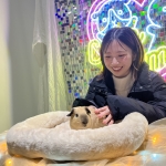 ワクワクふれあい！もふもふ＆はちゅうるい 生きものフェスタ／もふもふゾーン