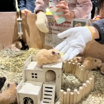 ワクワクふれあい！もふもふ＆はちゅうるい 生きものフェスタ／エサやり体験