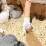 ワクワクふれあい！もふもふ＆はちゅうるい 生きものフェスタ／エサやり体験