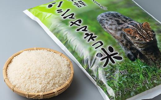 福岡市動植物園 新春お年玉イベント ツシマヤマネコ米