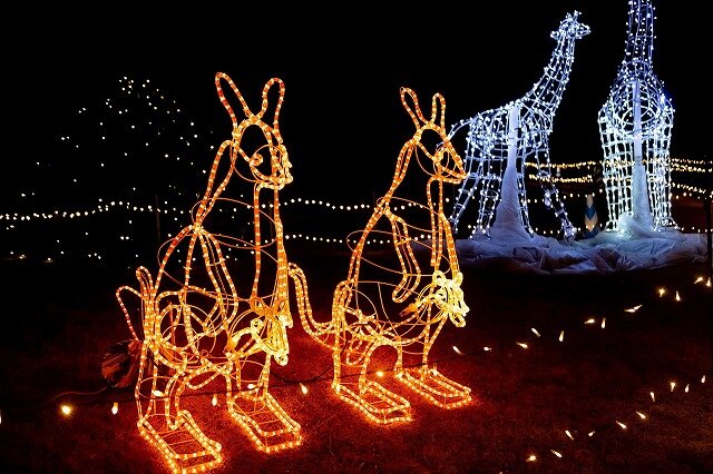 うみなかキャンドルナイト ワンダーワールドイルミネーション