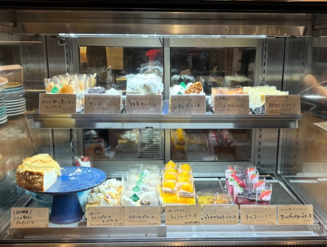 APOC ショーケース