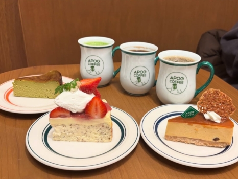 APOC チーズケーキ