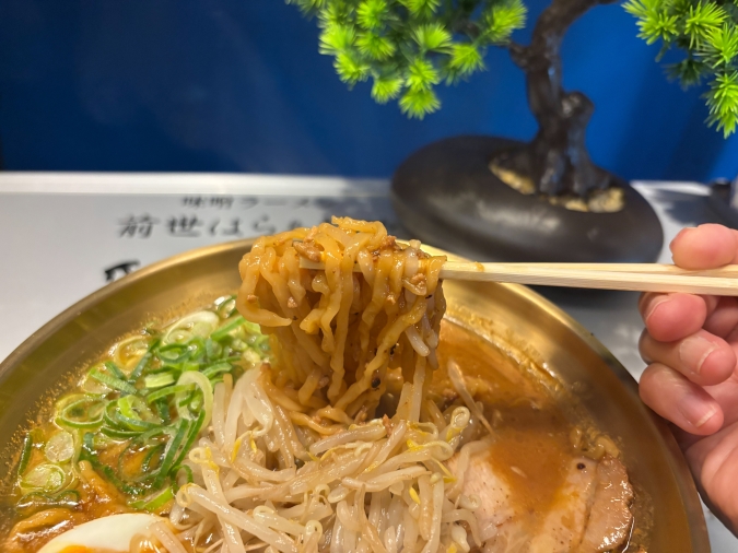 前世はらぁ麺や ちぢれ麺