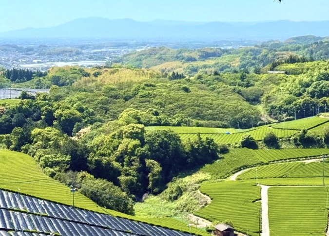 八女大茶園cafe Green Monster　景色