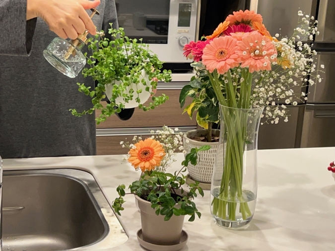 花の水やり　こんまり流